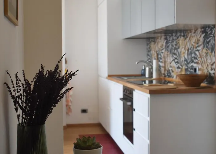 Ciceri Dei Paritgiani Daire Verbania