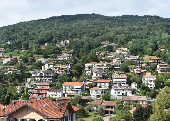 Ciceri Dei Paritgiani *